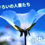ヒメ日記 2026/04/19 12:30 投稿 ふゆみ ふぞろいの人妻たち