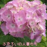 ヒメ日記 2026/05/23 23:11 投稿 ふゆみ ふぞろいの人妻たち