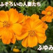 ヒメ日記 2026/09/17 17:21 投稿 ふゆみ ふぞろいの人妻たち