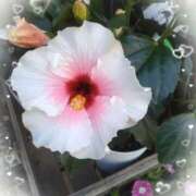 ヒメ日記 2025/07/12 20:52 投稿 かおる 熟女の風俗最終章　越谷店