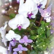 ヒメ日記 2025/08/29 14:48 投稿 かおる 熟女の風俗最終章　越谷店