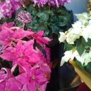 かおる 川口Ｗ－ｐａｒｔｙでフェラパーティー 熟女の風俗最終章　越谷店