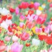 ヒメ日記 2026/02/25 21:18 投稿 かおる 熟女の風俗最終章　越谷店