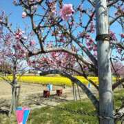 ヒメ日記 2026/03/19 20:26 投稿 かおる 熟女の風俗最終章 西川口店