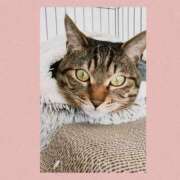 ヒメ日記 2025/03/18 15:01 投稿 さや 世界のあんぷり亭 蒲田店