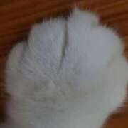 ヒメ日記 2025/09/03 01:01 投稿 えま マリン土浦本店