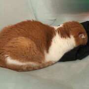 ヒメ日記 2025/09/05 01:21 投稿 えま マリン土浦本店