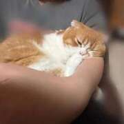 ヒメ日記 2025/10/04 11:34 投稿 えま マリン土浦本店