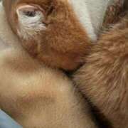 ヒメ日記 2025/11/15 11:02 投稿 えま マリン土浦本店