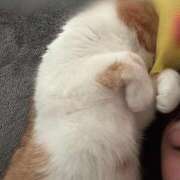 えま 遅くなりました マリン土浦本店