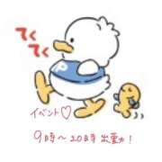 ヒメ日記 2025/07/15 14:04 投稿 さつき 手こき＆オナクラ 大阪はまちゃん