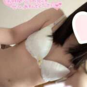 ヒメ日記 2025/04/21 16:30 投稿 まな 木更津人妻花壇