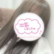 ヒメ日記 2025/05/14 12:40 投稿 まな 木更津人妻花壇