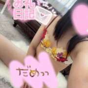 ヒメ日記 2025/09/20 16:09 投稿 まな 木更津人妻花壇