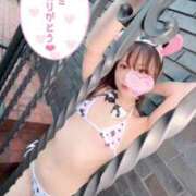 ヒメ日記 2024/12/21 10:46 投稿 花咲らんか ウルトラセレクション