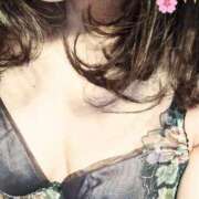 ヒメ日記 2025/03/25 10:20 投稿 みどり チューリップ土浦店