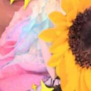 ヒメ日記 2025/08/15 15:34 投稿 みどり チューリップ土浦店