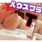 ヒメ日記 2024/04/12 15:26 投稿 えま ちゃんこ幕張店