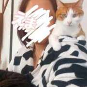 ヒメ日記 2025/11/09 14:56 投稿 えま ちゃんこ幕張店