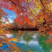 ヒメ日記 2025/11/21 14:46 投稿 えま ちゃんこ幕張店