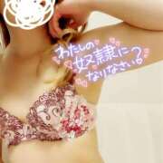 ヒメ日記 2025/10/04 10:47 投稿 あげは 名古屋痴女性感フェチ倶楽部