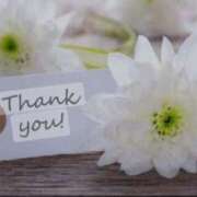 ヒメ日記 2024/12/15 08:45 投稿 めぐみ 佐世保人妻デリヘル「デリ夫人」