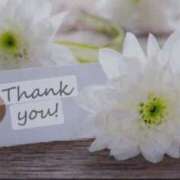 ヒメ日記 2024/12/15 09:01 投稿 めぐみ 佐世保人妻デリヘル「デリ夫人」