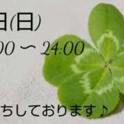 ヒメ日記 2025/03/08 20:28 投稿 めぐみ 佐世保人妻デリヘル「デリ夫人」