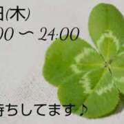ヒメ日記 2025/03/12 19:31 投稿 めぐみ 佐世保人妻デリヘル「デリ夫人」