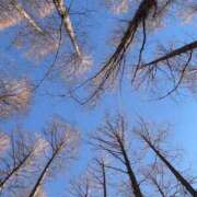 ヒメ日記 2025/01/24 12:42 投稿 みやび 奥様プリモ