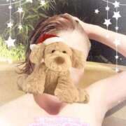 ヒメ日記 2025/12/24 09:19 投稿 みやび 奥様プリモ