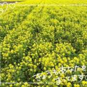 ヒメ日記 2026/02/24 12:09 投稿 みやび 奥様プリモ