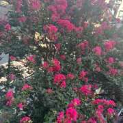 ヒメ日記 2025/08/27 17:26 投稿 小宮 昼顔妻 五反田店