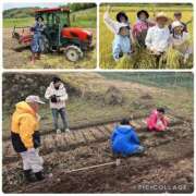 ヒメ日記 2025/12/20 20:26 投稿 小宮 昼顔妻 五反田店