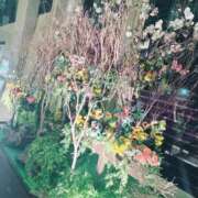 ヒメ日記 2026/02/03 21:53 投稿 小宮 昼顔妻 五反田店