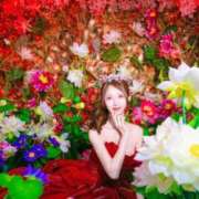 ヒメ日記 2025/10/17 12:22 投稿 鳴海しおん CLUB39（クラブサンキュー）