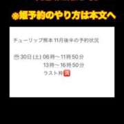 ヒメ日記 2024/11/29 15:06 投稿 ちえる チューリップ熊本店