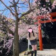 ヒメ日記 2025/06/22 09:04 投稿 すみれ 町田人妻城