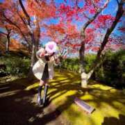 すみれ 今年の紅葉は箱根へ…早く見に行きたいな♥️ 町田人妻城