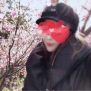 ヒメ日記 2025/12/11 11:20 投稿 すみれ 町田人妻城