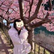 すみれ 3月のシフト出してます‪‪‪‪❤︎‬‬私に溺れる準備できてる？ 町田人妻城