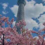 ゆりな 🌷4月 ニュー不夜城