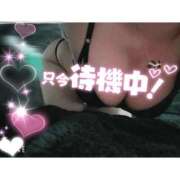 ヒメ日記 2025/11/22 02:00 投稿 みりあ サンキュー福岡店