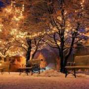 ヒメ日記 2024/12/13 19:00 投稿 りかこ　ゴールド 脱がされたい人妻 木更津店