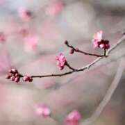 ヒメ日記 2025/03/06 14:02 投稿 りかこ　ゴールド 脱がされたい人妻 木更津店