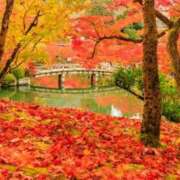 りかこ　ゴールド おはようございます😊 脱がされたい人妻 木更津店