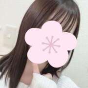 ヒメ日記 2025/07/09 14:46 投稿 アヤメ エピソード(品川)