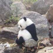 ヒメ日記 2025/03/27 11:43 投稿 あゆり アイドルチェッキーナ本店