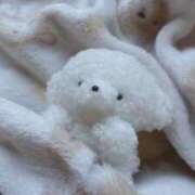 ヒメ日記 2025/10/08 18:50 投稿 あゆり アイドルチェッキーナ本店