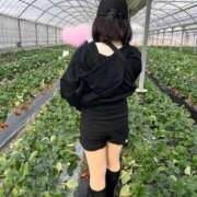 ヒメ日記 2025/02/27 12:25 投稿 小室 新宿人妻城